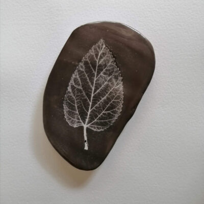 hoja2